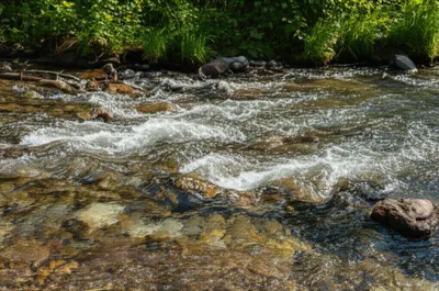 Illustration riffles - Image 1