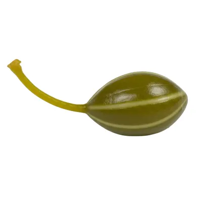 Illustration caper - Image 1