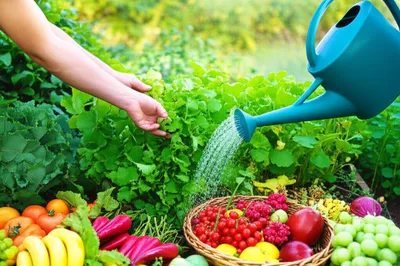 Illustration deserved - Image 1