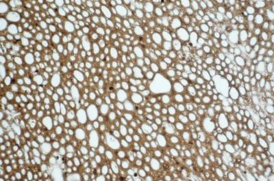 Illustration snowflake - Image 1