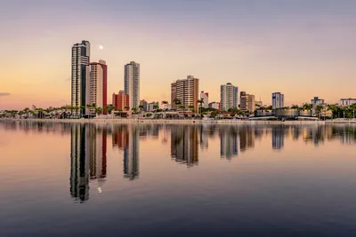 Illustration cohere - Image 2