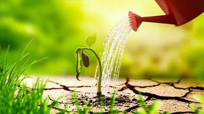 Illustration redeemed - Image 1