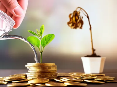 Illustration economical