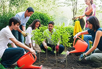 Illustration copse - Image 1