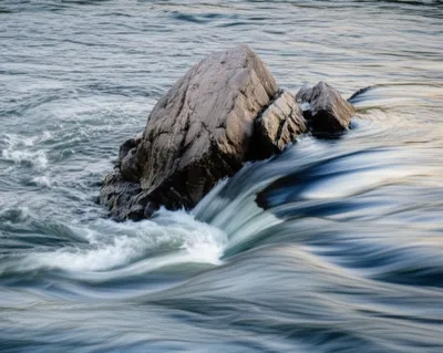 Illustration interrupted - Image 1