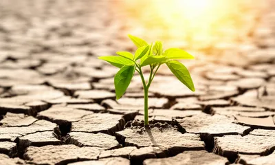 Illustration exceeds - Image 1