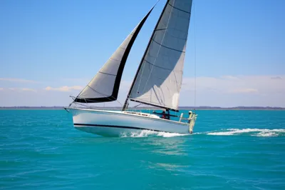 Illustration careens - Image 1