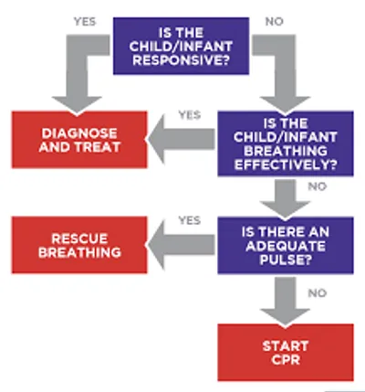Illustration scientific - Image 3