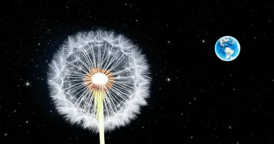 Illustration weightless