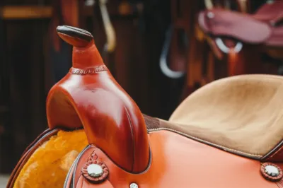 Illustration swells - Image 1