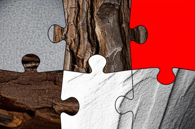 Illustration disparate - Image 1