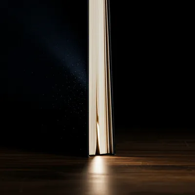 Illustration disclose