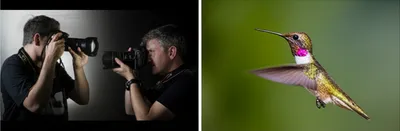 Illustration faster - Image 1