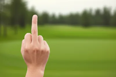 Illustration birdie - Image 1