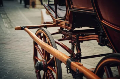 Illustration fills - Image 1