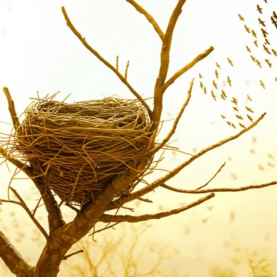 Illustration departed - Image 1