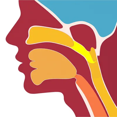 Illustration fronting - Image 1