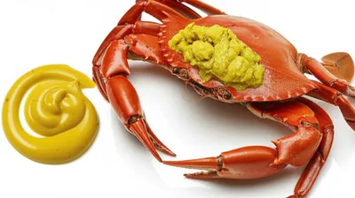 Illustration mustard - Image 1