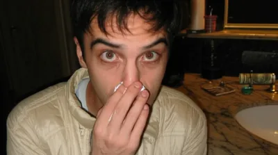 Illustration snowbirds - Image 1