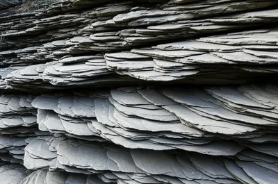 Illustration shelves - Image 1