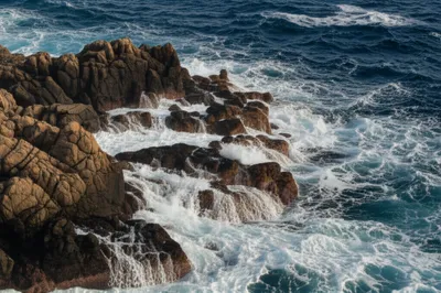 Illustration shagged - Image 1