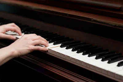 Illustration practised - Image 1