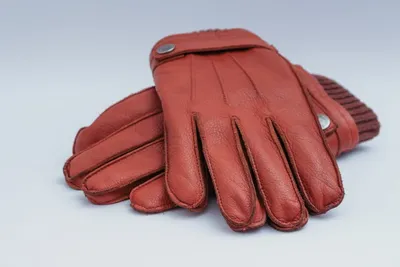 Illustration gloves - Image 2