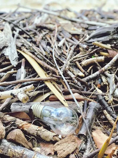 Illustration sticks - Image 3