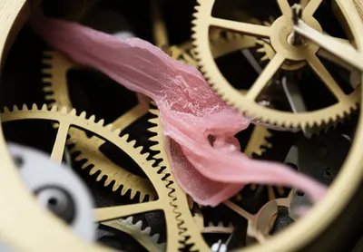 Illustration gum - Image 1