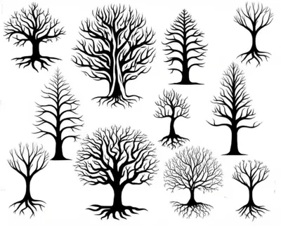 Illustration forest - Image 1