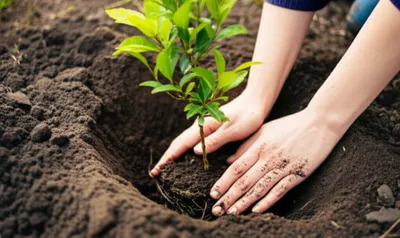 Illustration earthing - Image 1