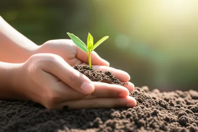 Illustration necessities - Image 2