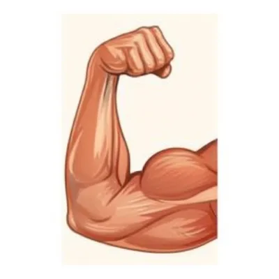 Illustration contractions - Image 1