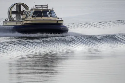 Illustration hump - Image 1