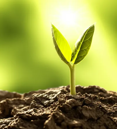 Illustration engendered - Image 1