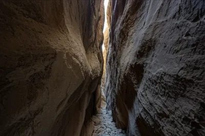 Illustration eng - Image 1