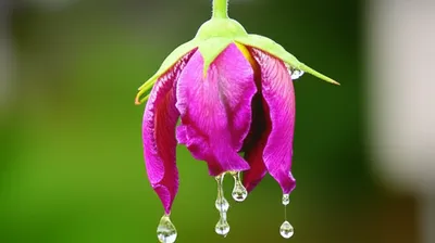 Illustration enhancing - Image 1