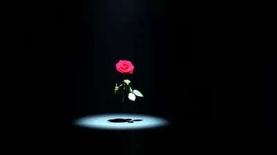 Illustration occur - Image 1