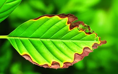 Illustration mortifying - Image 1