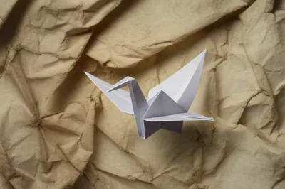 Illustration folded - Image 1