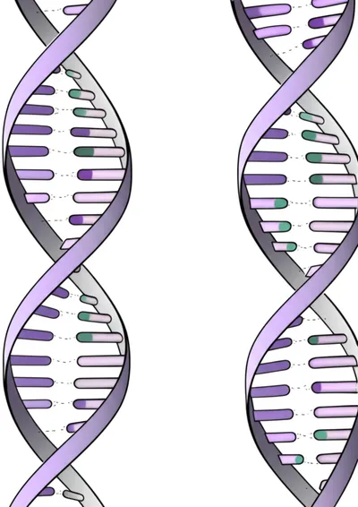 Illustration transition - Image 1