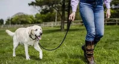 Illustration lead - Image 2