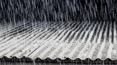 Illustration pelts - Image 1