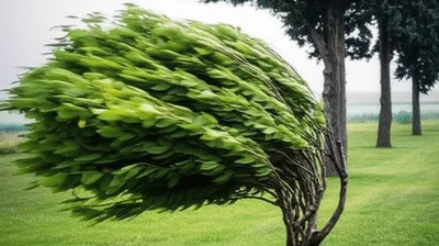 Illustration pliant - Image 1