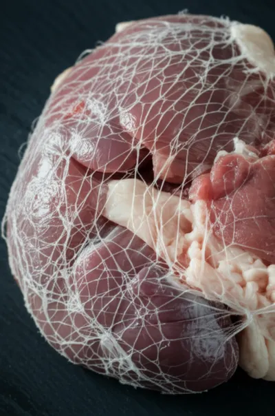 Illustration leaf - Image 1