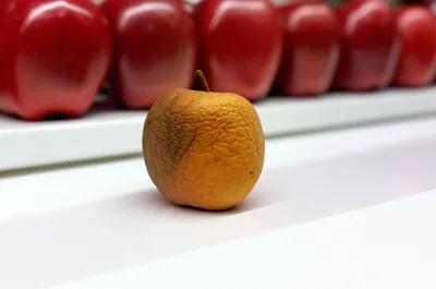 Illustration unsalable - Image 1