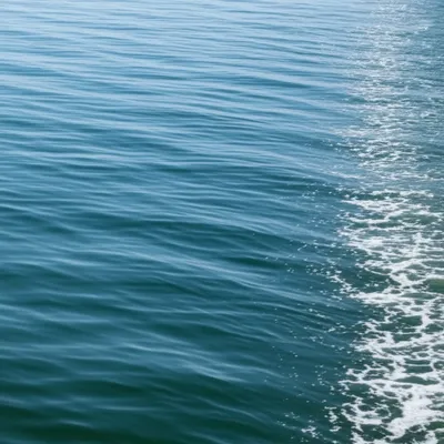 Illustration roughens - Image 1