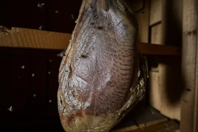 Illustration higher - Image 1