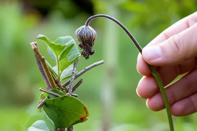 Illustration retrieve - Image 1