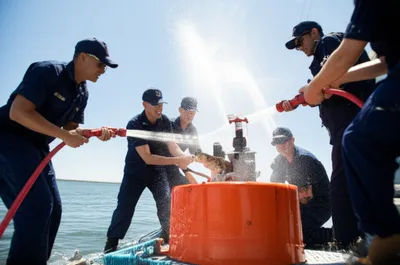 Hình ảnh minh họa hooligans - Ảnh 1